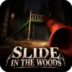 Slide in the Woods